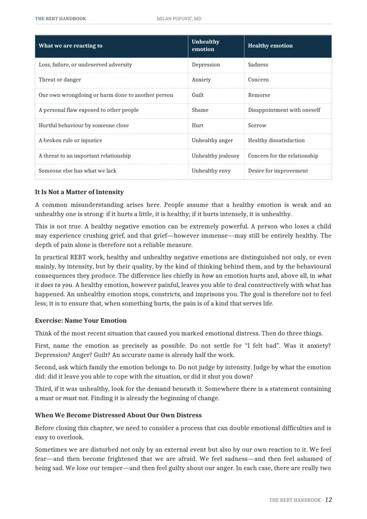 Healthy and unhealthy negative emotions preview