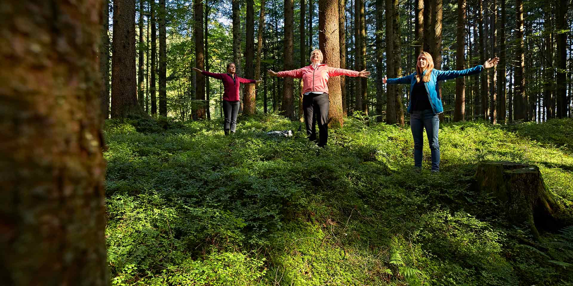 Šumska terapija značajno poboljšava sveukupno zdravlje kod mladih žena – naučna studija